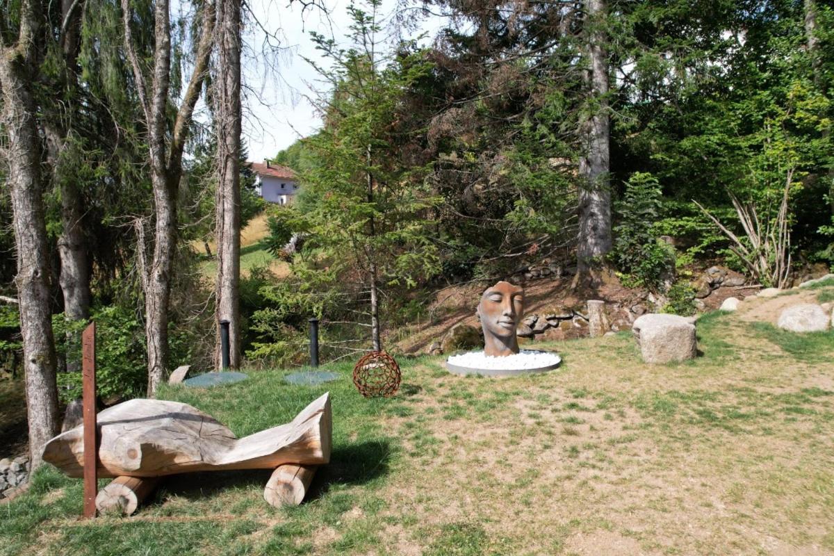 Chalet Le Pourquoi Pas Βίλα La Bresse Εξωτερικό φωτογραφία